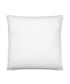 Basic Pillow (Your design)